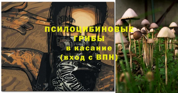 первитин Армянск